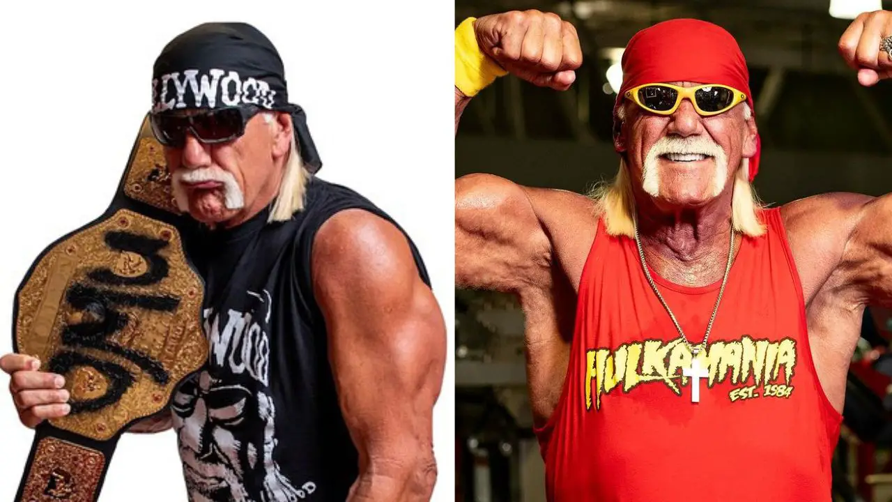 Hulk Hogan nWo vs The Real American versions